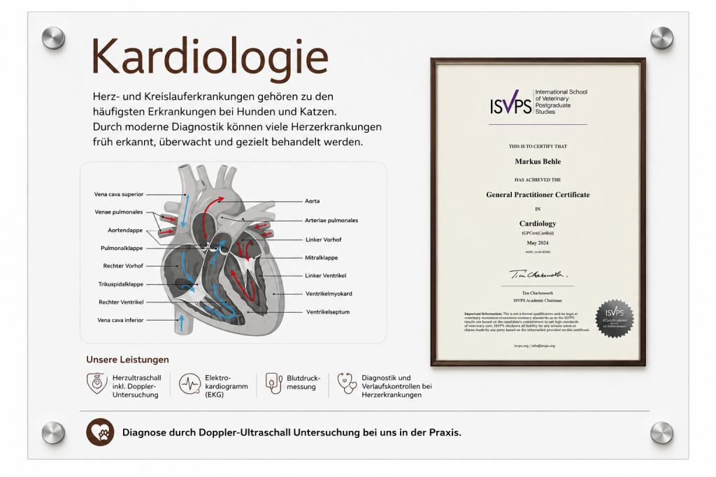 kardiologie