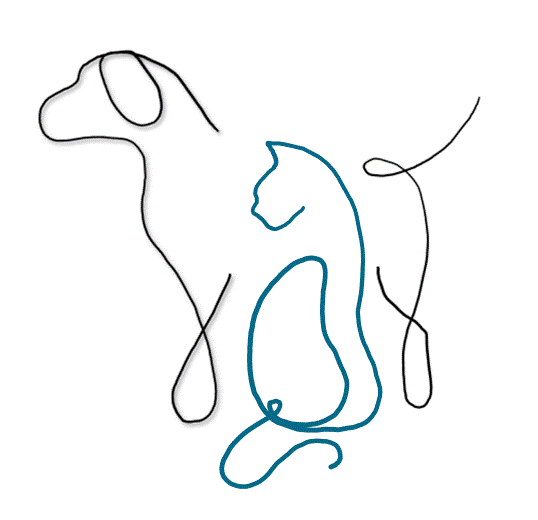 logo24