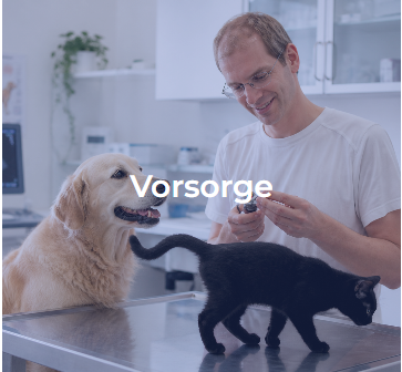 vorsorge