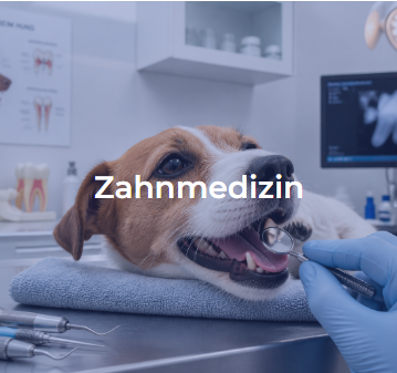 zahhnmedi
