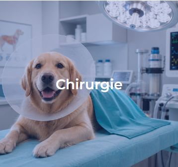 chirurg